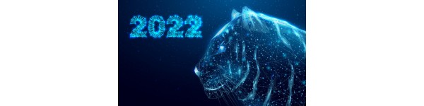 График работы на Новый 2022 год.